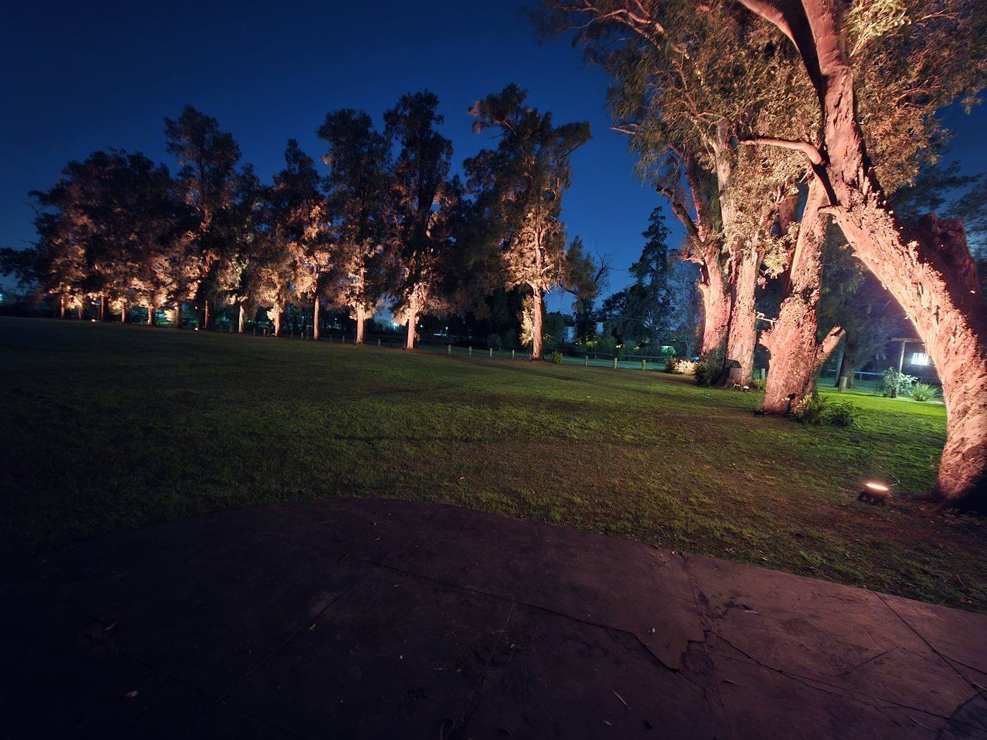 Parque de un predio iluminado de noche con árboles resaltados por luz
